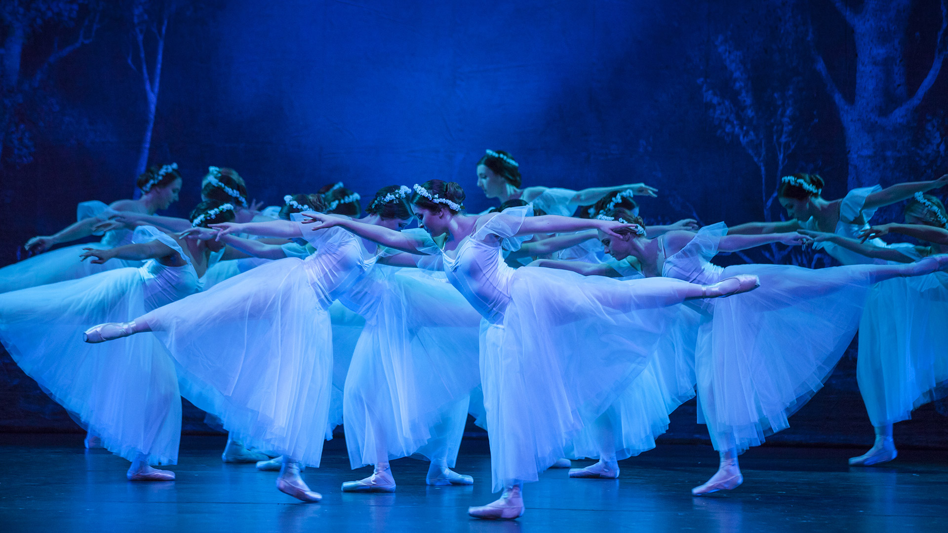 A scene from Swan Lake with lots of ballarina's in a formation.